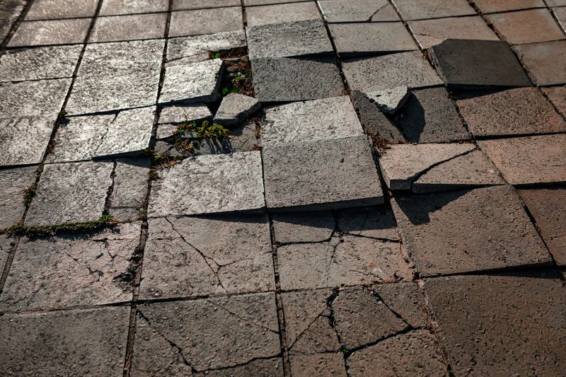 Paver Repair